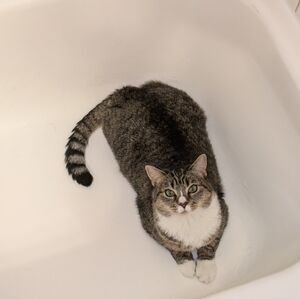 Meet your Posher, Cheri